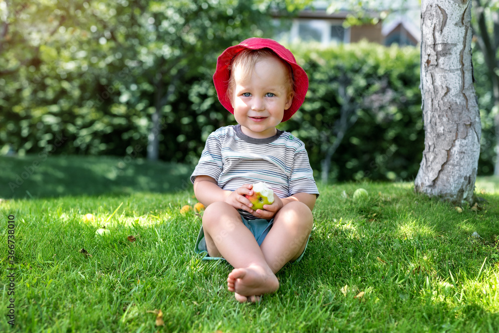 Cute adorable 2 years old caucasian blond toddler boy enjoy eating juicy sweet tasty apple fruit sitting on green grass lawn in park, garden or home yard. Happy careless carefree childhood concept Cute adorable 2 years old caucasian blond toddler boy enjoy eating juicy sweet tasty apple fruit sitting on green grass lawn in park, garden or home yard. Happy careless carefree childhood concept