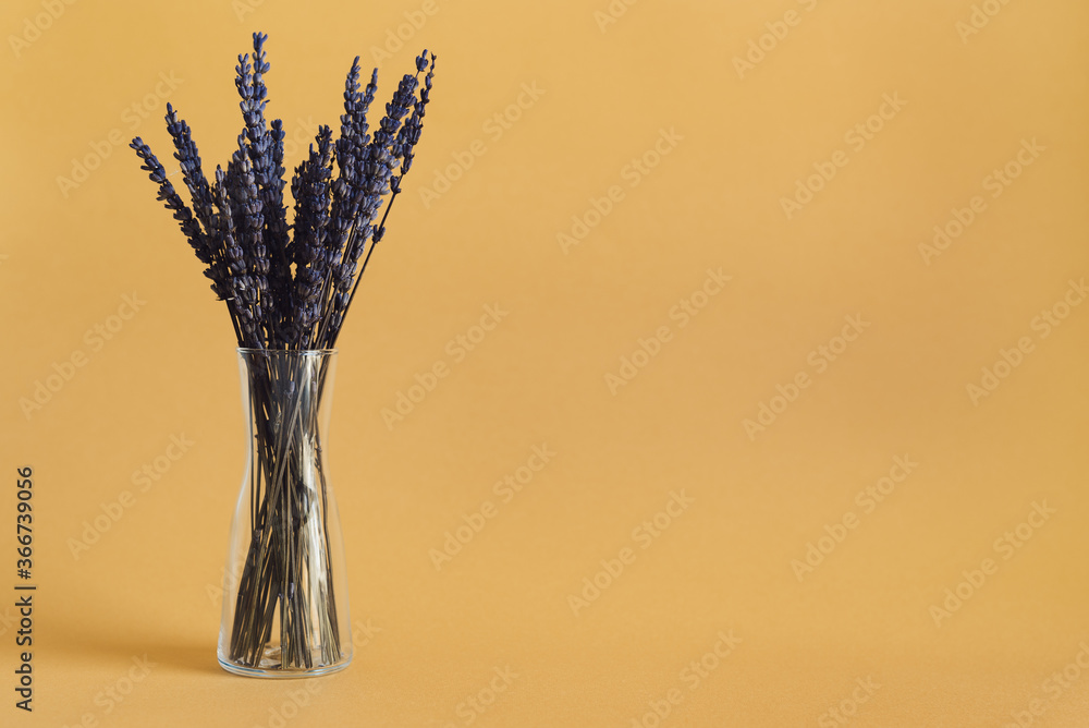 Dried lavender in a small glass vase on orange background. Dried flowers