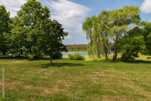 Pond landscape