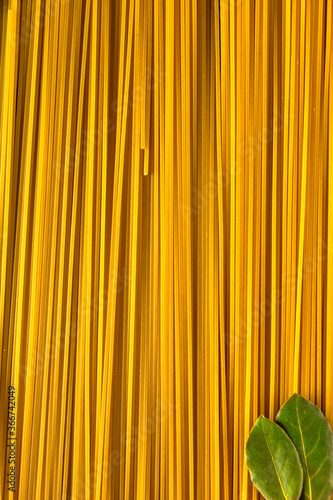 Beautiful studio shot raw pasta with laurel leaves . high end advertising photos