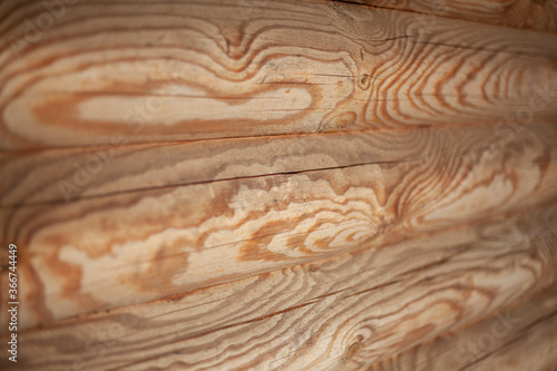 Dry wood texture without bark.
