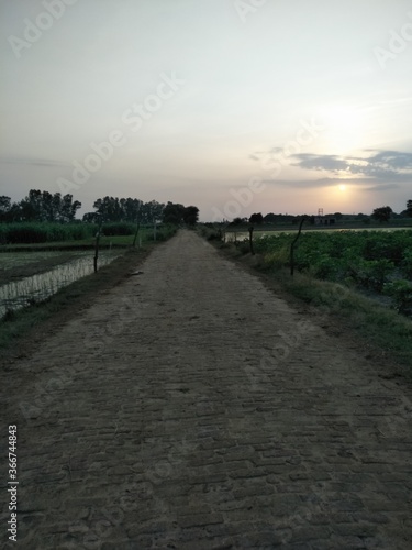 Path between fields.it is sunset time picture