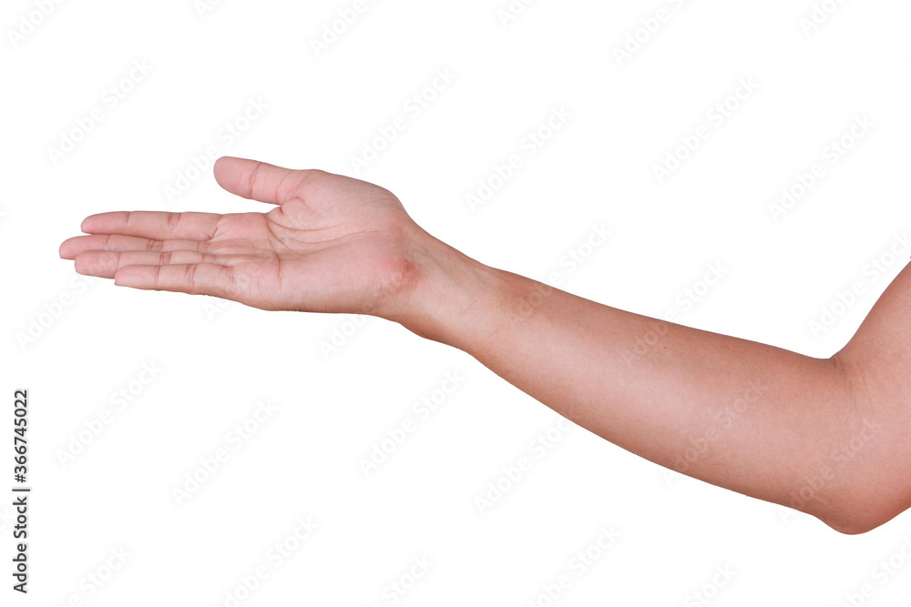 Male asian hand gestures isolated over the white background. Male asian hand gestures isolated over the white background.