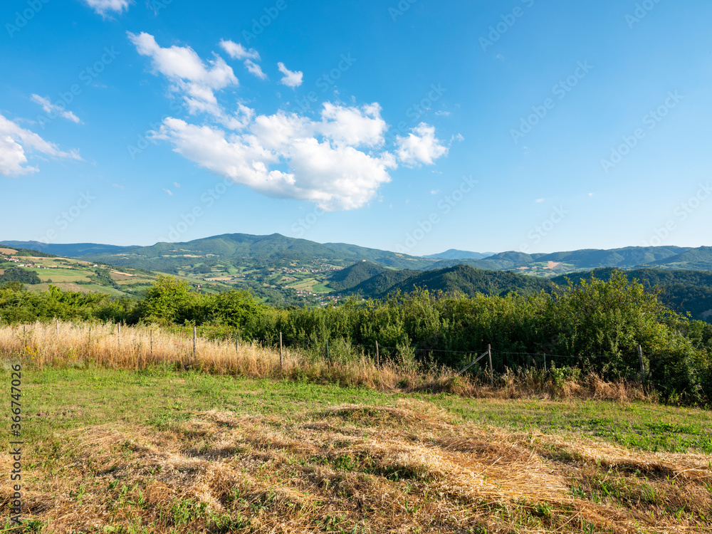Hilly landscape of Oltrepò Pavese, Italy.