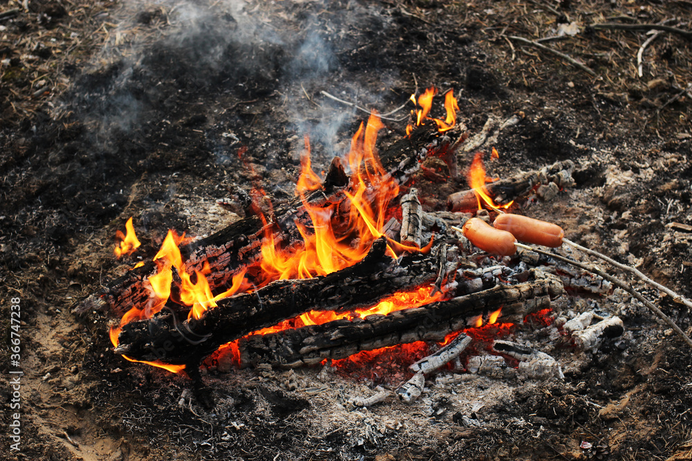 Grilled sauces above the campfire on sticks, picnic in the woods, in the Park Grilled sauces above the campfire on sticks, picnic in the woods, in the Park