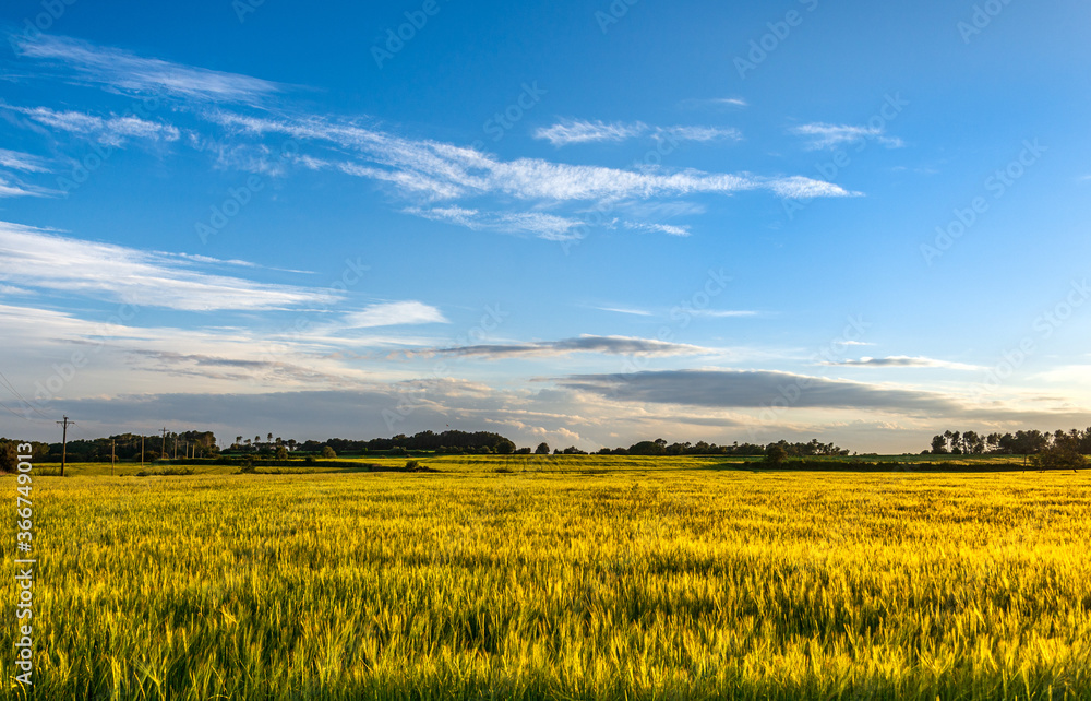 Beautiful Sunset on the field in Catalonya, Spain, Europe