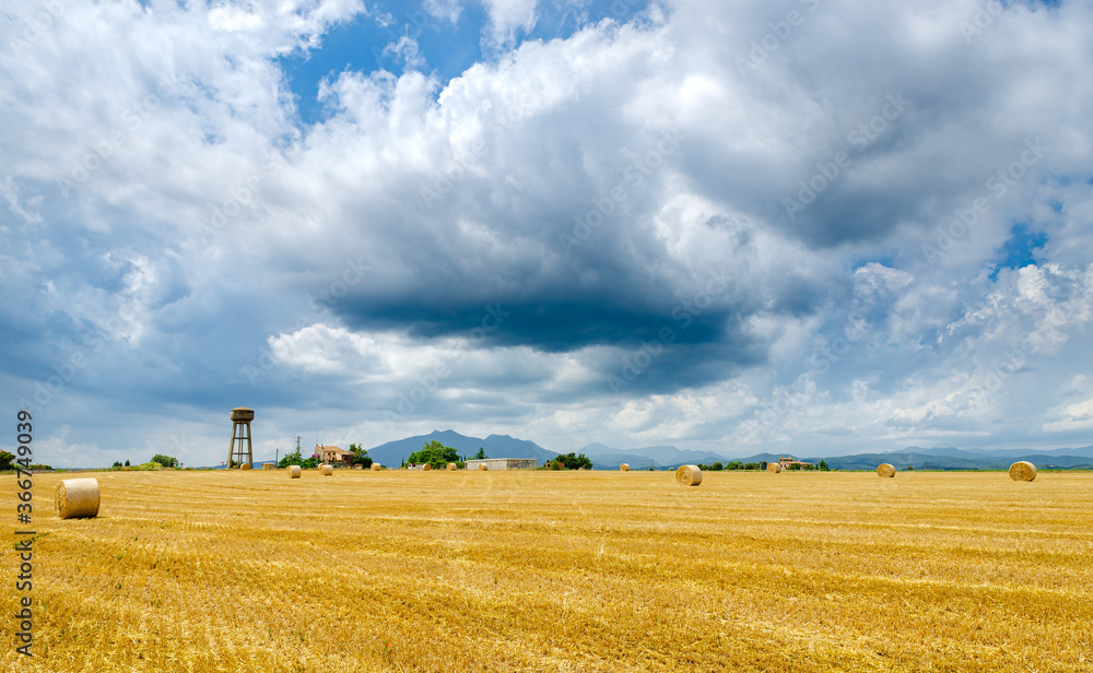 Fototapeta premium Hay bales on a field before the storm starts