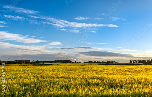 Beautiful Sunset on the field in Catalonya  Spain  Europe