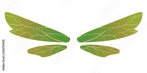 Magic fairy or dragonfly green wings Vector art
