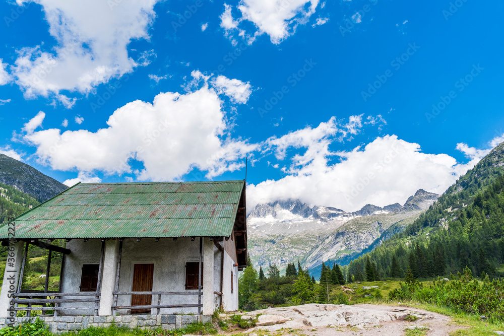 panoramic view of the glaciers of the Italian Alps panoramic view of the glaciers of the Italian Alps