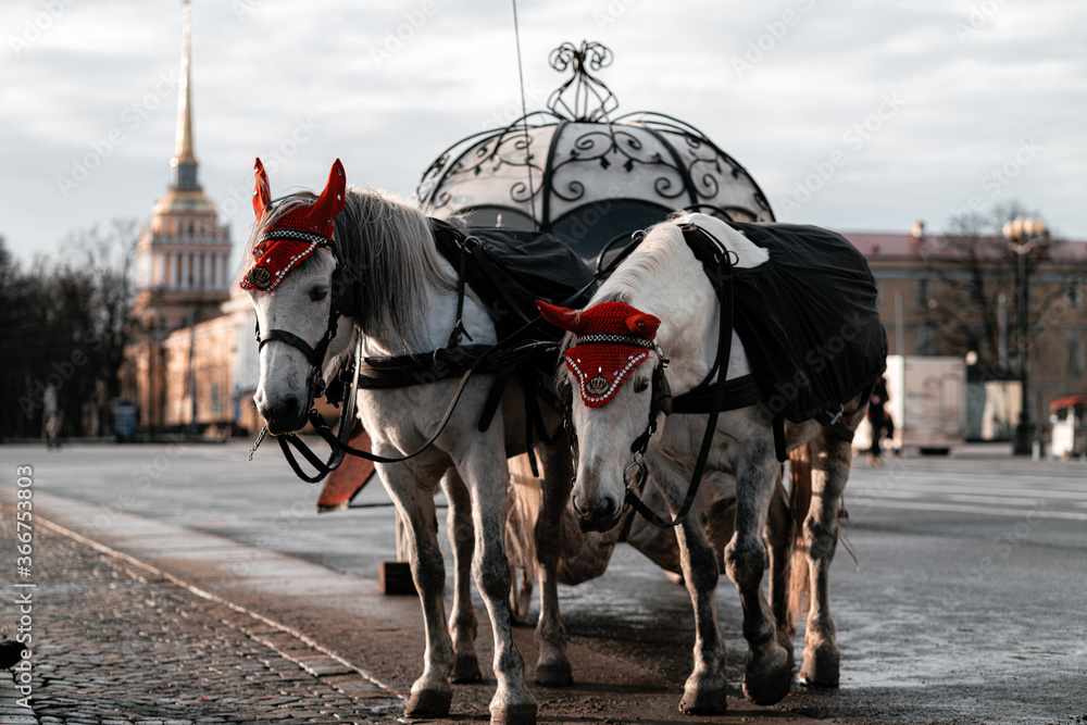 horse and carriage horse and carriage
