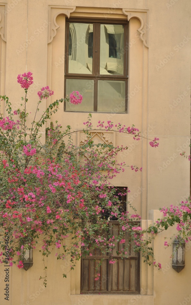 window, flowers, house, flower, wall, architecture, home, door, old, building, red, exterior, green, village, stone, plant, pink, geranium, glass, box, Dubai, white, traditional, summer