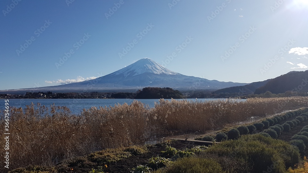Mount Fuji (富士山, Fujisan) with Lake Kawaguchi (河口湖, Kawaguchi-ko), sunlight, snow covered in autumn, the highest mountain, volcano (active stratovolcano) in Yamanashi, Honshu, Japan