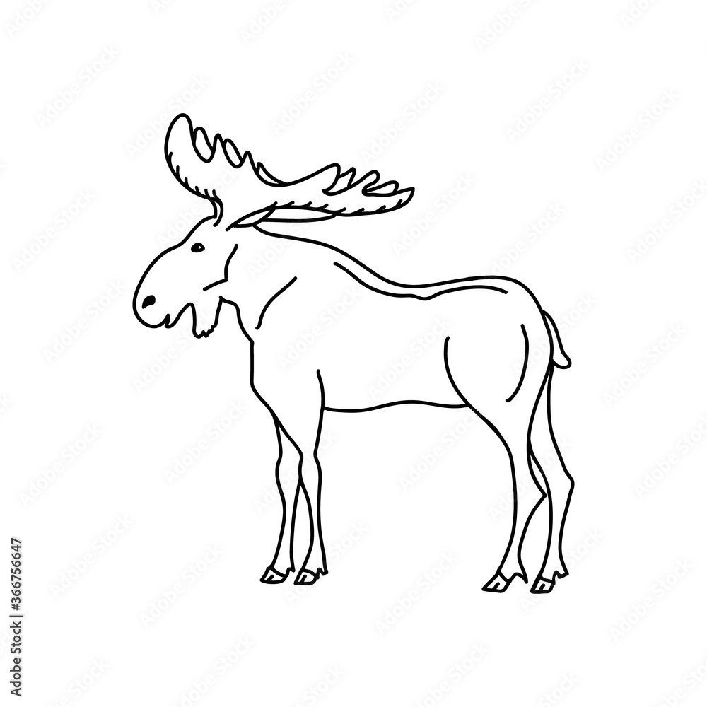Moose line vector illustration isolated on white background. Hand drawn elk icon.