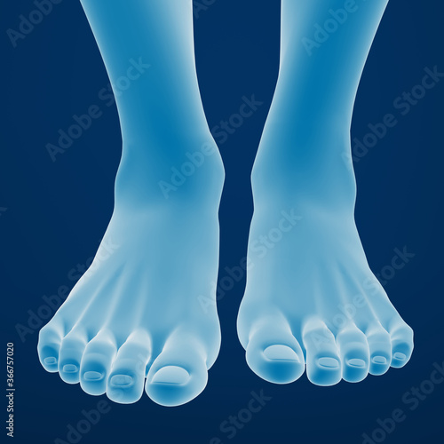 3D rendering of a foot © Andrus Ciprian