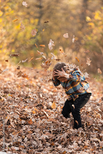 Adorable little boy plaing with yellow leaves in sunny autumn park
