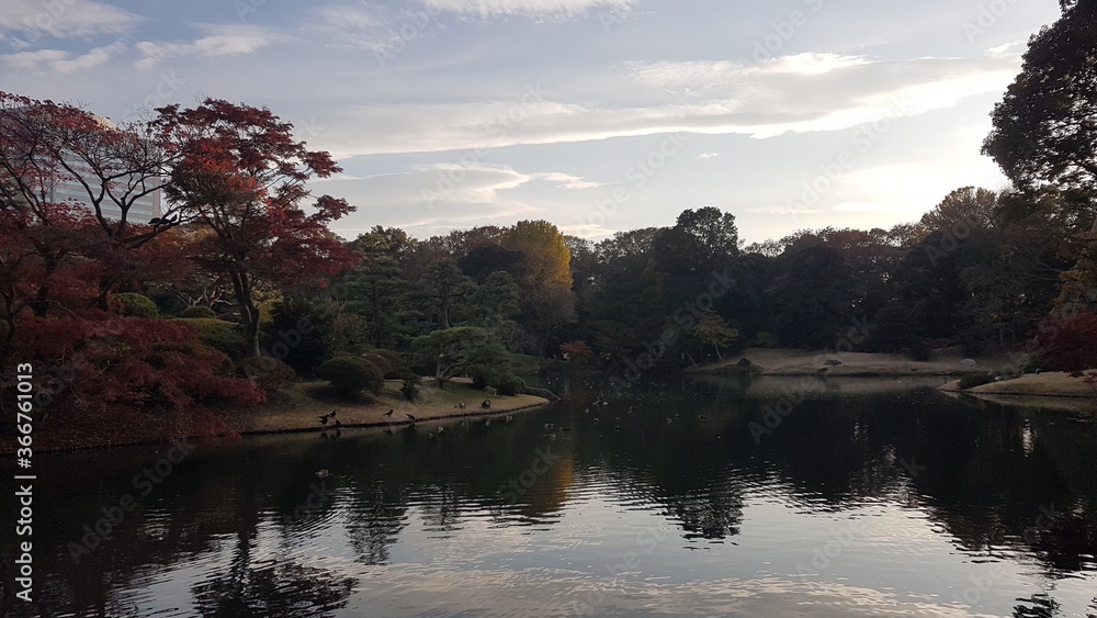 Autumn view of the lake with reflection in Rikugi-en (Rikugien, 六義園) Garden in Japan