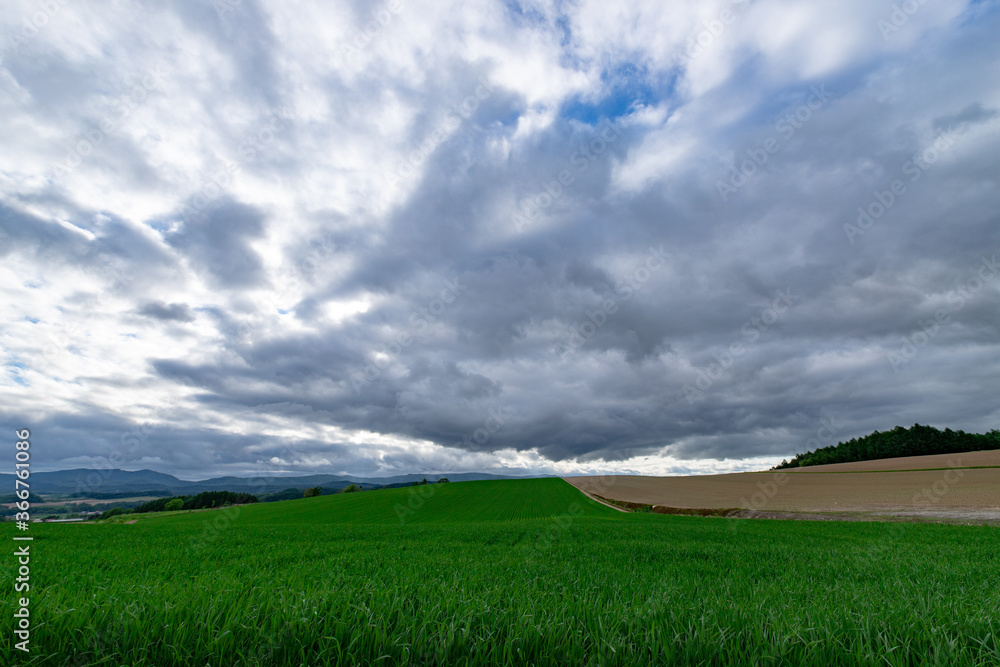 北海道　美瑛町の夏の風景