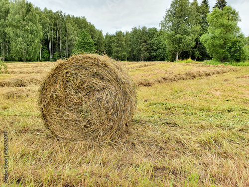Haystack on the field. Lifestyle, close-up. Landscape
