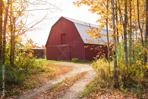 Red traditional barn in the countryside of New England on a sunny autumn day. Beautiful fall colors.