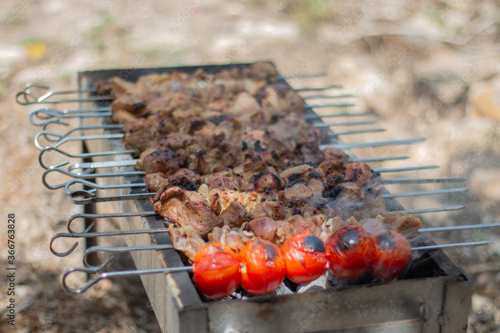 Roast meat in nature