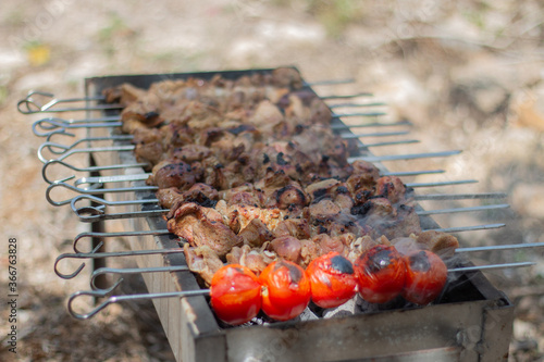 Obraz na płótnie Roast meat in nature w salonie