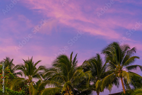 Sunset on a paradise tropical beach with palm trees.