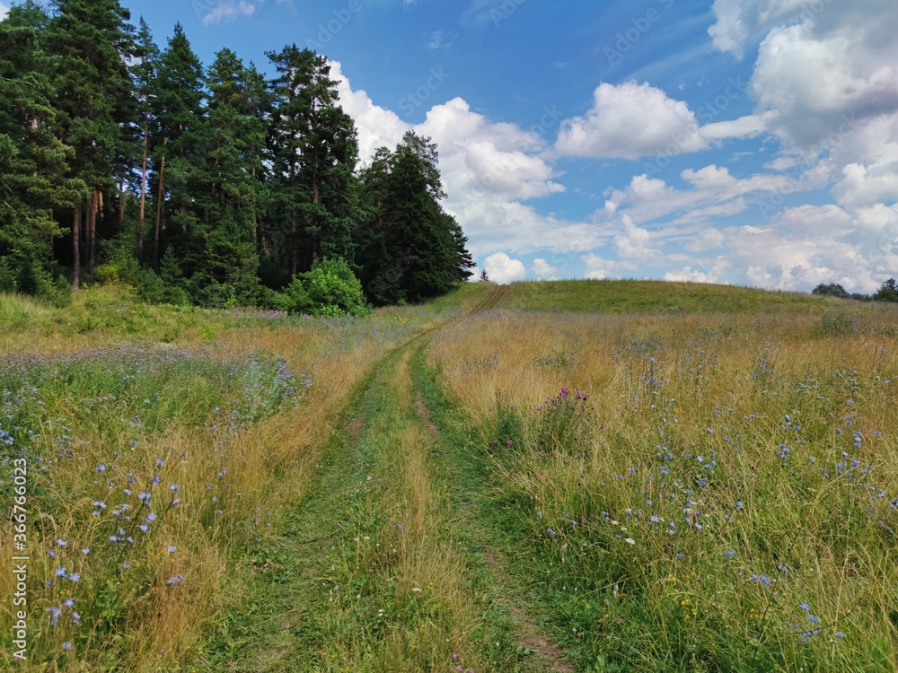 country road uphill near the forest on a background of blue sky with clouds country road uphill near the forest on a background of blue sky with clouds