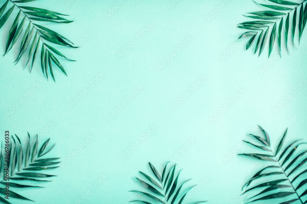 green leaves of palm tree