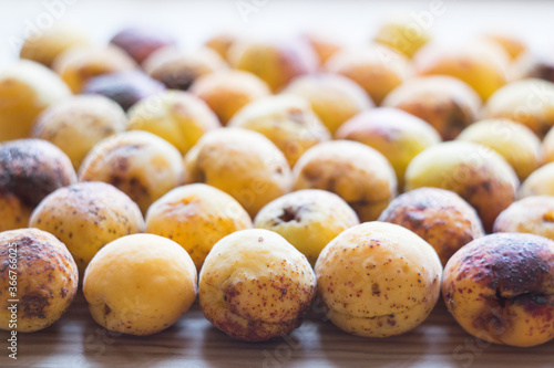 Trendy ugly organic fruit apricots on the table. Top view, horizontal orientation photo