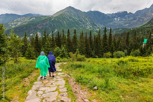 Fototapeta Naklejka Na Ścianę i Meble -  Two tourists in plastic raincoats walking the path in Tatra mountains
