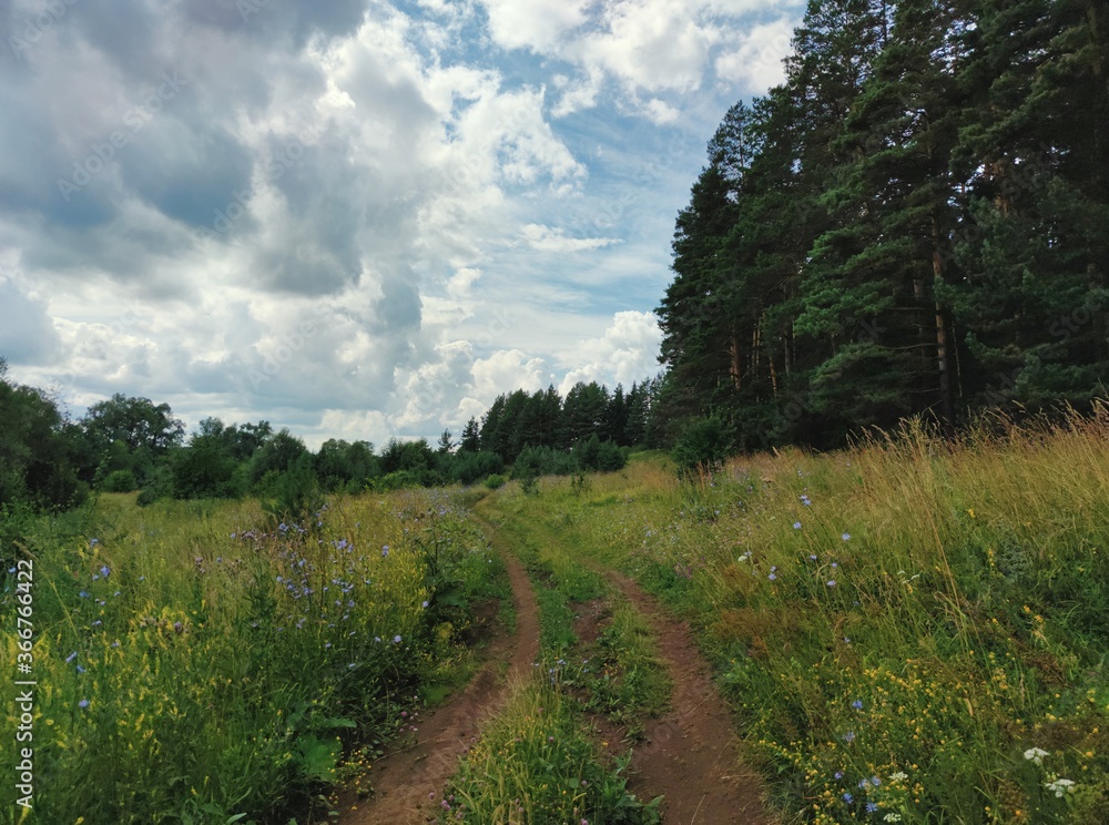 road near the forest against the background of a cloudy sky before the rain