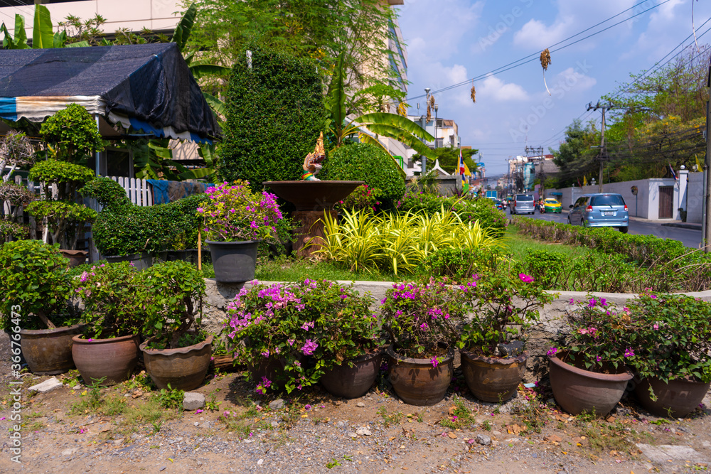 Flower bed in pots near the house. Decoration of the exterior with flowers.