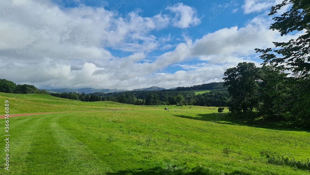 green field and blue sky