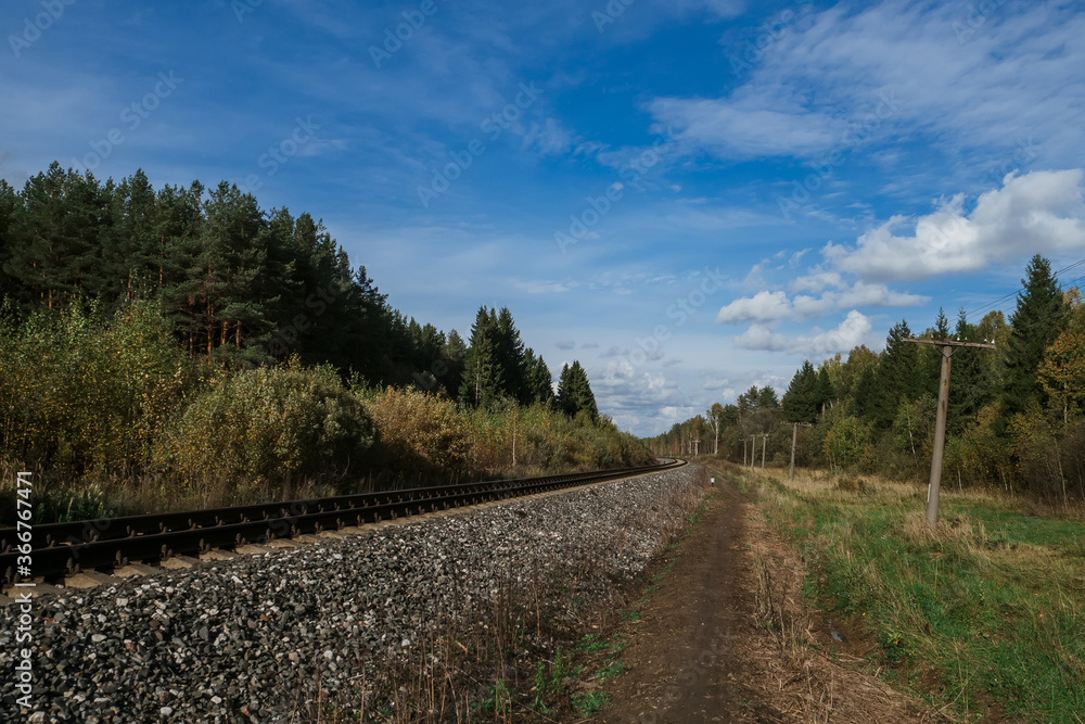 Railway among the forest under the blue sky Railway among the forest under the blue sky