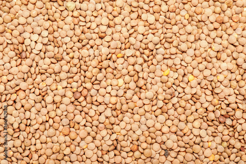 Fototapeta premium Heap of raw lentils as background