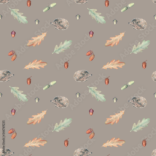 Autumn seamless pattern with a cute hedgehog, oak leaves and acorns on a deep grey background. Watercolor illustration. 
