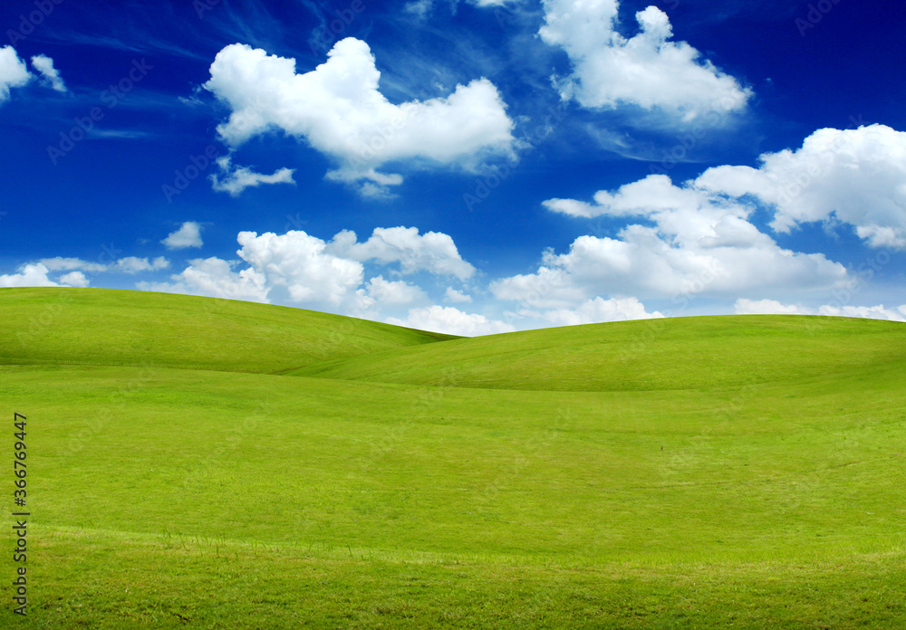 green field and blue sky with clouds green field and blue sky with clouds
