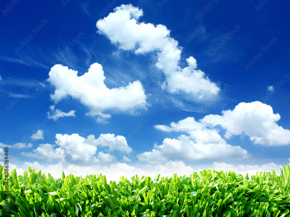 green grass and blue sky green grass and blue sky