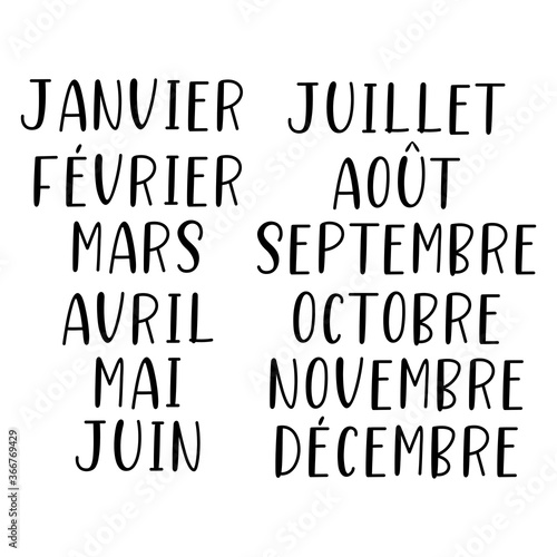 Mois écrits à la main de l'année. Janvier, Février, Mars, Avril, Mai, Juin, Juillet, Août, Septembre, Octobre, Novembre, Décembre. Lettering pour calendrier, organisateur, planificateur