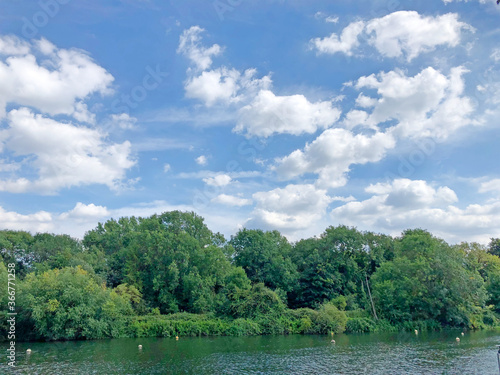 summer landscape with lake