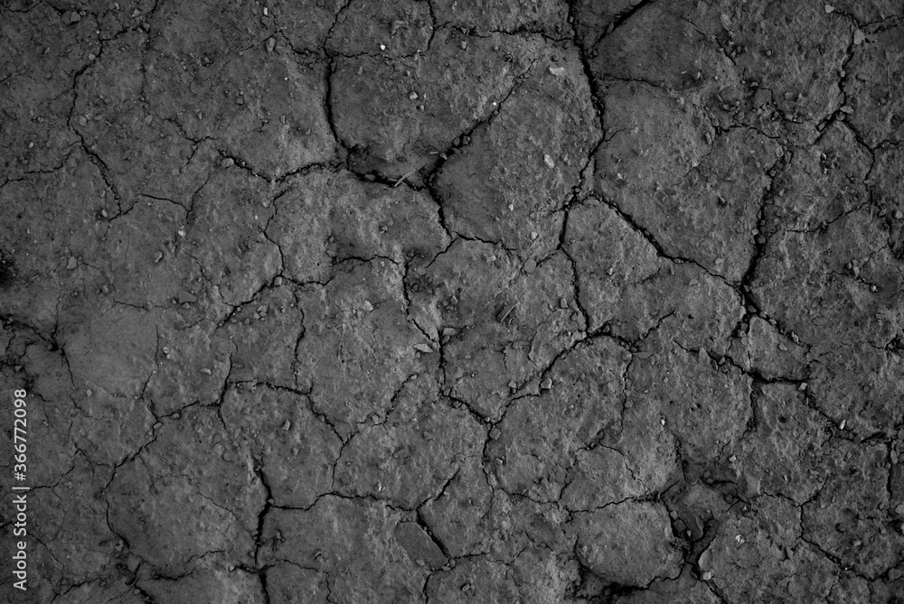 Gray earth texture. Barren soil. Drought concept. Dry ground texture. Barren soil. Drought concept. Gray earth texture. Barren soil. Drought concept. Dry ground texture. Barren soil. Drought concept.