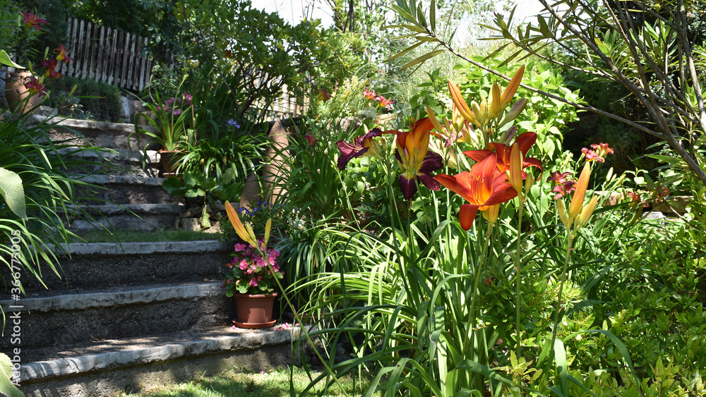 Gartentreppe, Stiege im Garten, mediterranes Gartendesign und südliche