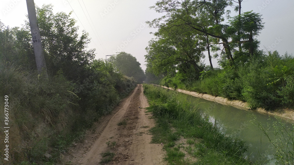 Path in villages near a small river. Best place for jogging. Path in villages near a small river. Best place for jogging.
