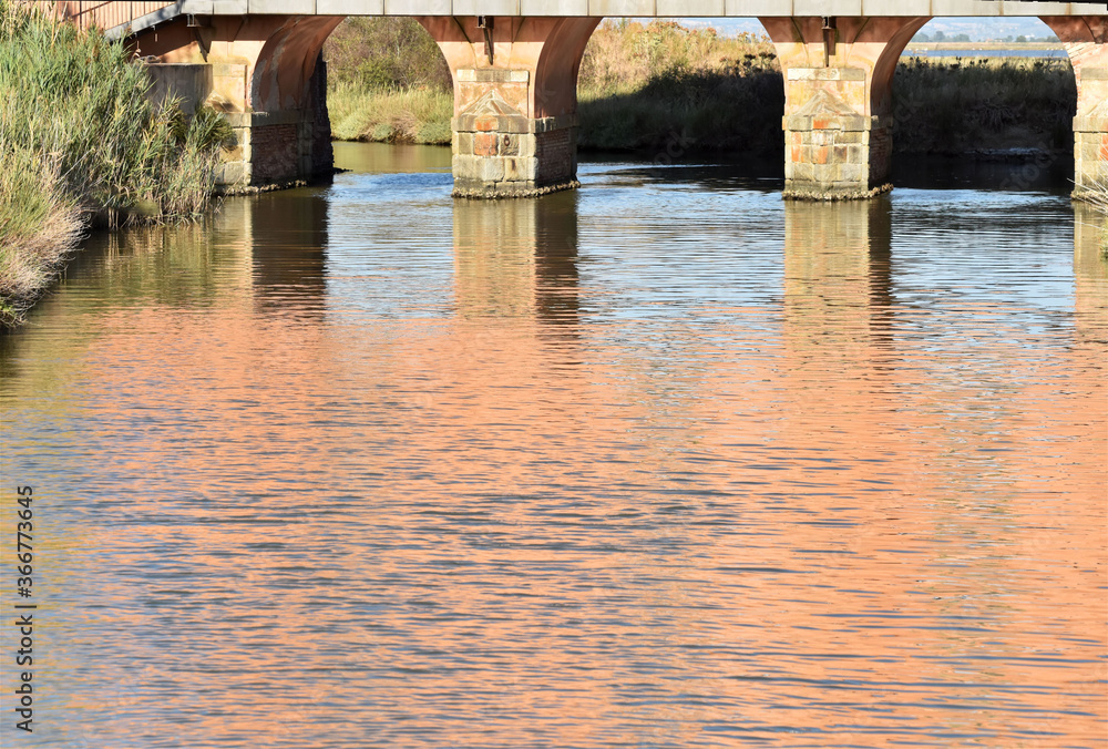 Fototapeta premium Riflessi rosa