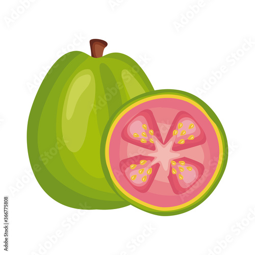 guava fresh delicious fruit detailed style icon