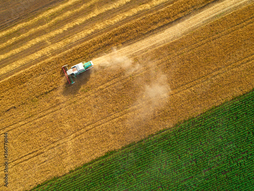 Aerial view of wheat harvest. Drone shot flying over three combine harvesters working on wheat field