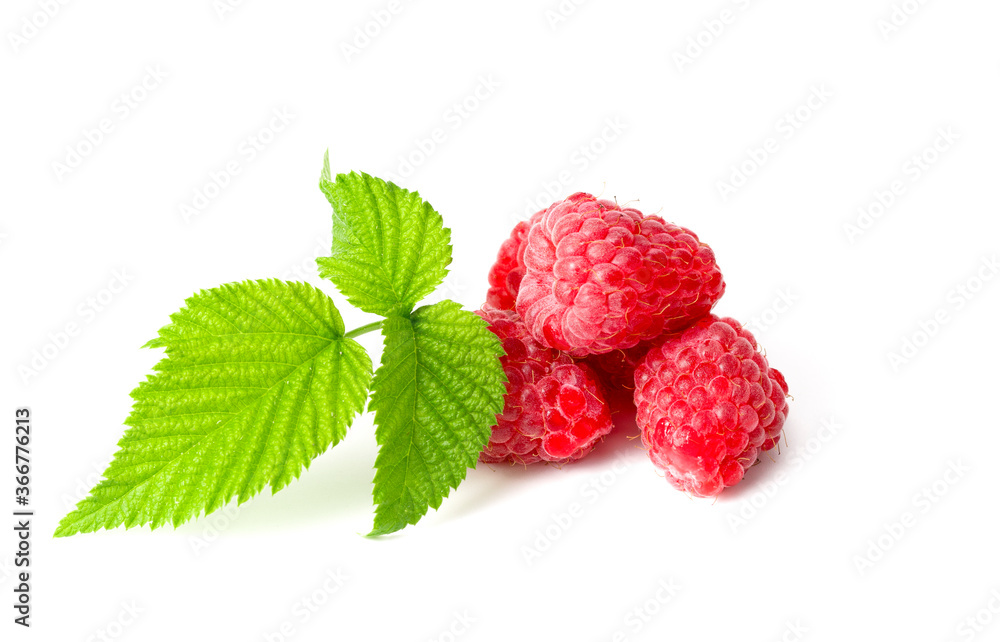 Fresh raspberry on white background Fresh raspberry on white background
