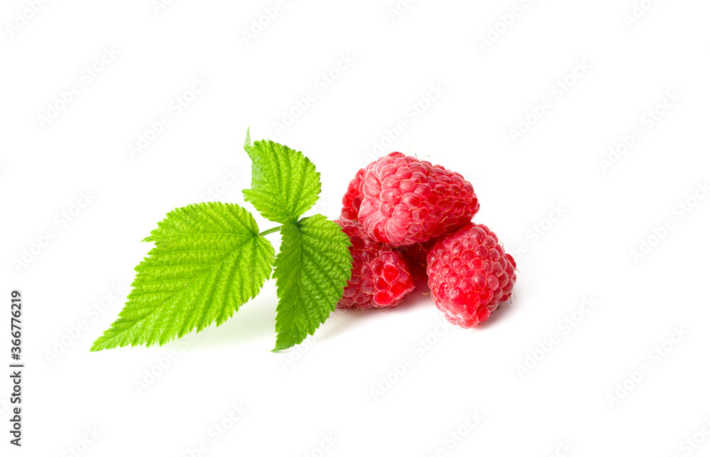 Fresh raspberry on white background Fresh raspberry on white background