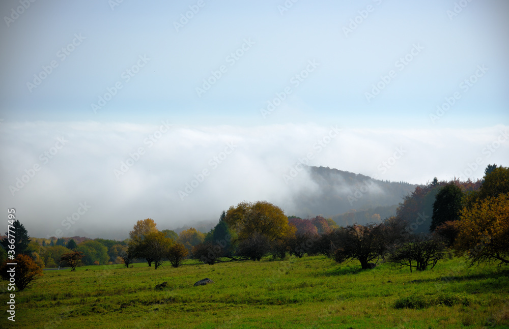 Aufziehender Nebel in der Herbstlichen Natur